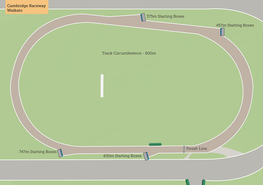 Waikato Greyhound Racing Club - NZ Greyhound Racing